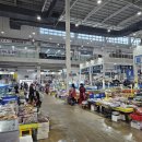 농수산물도매시장_서 이미지