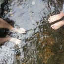 내일2리 이미지