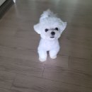 (주)유진헬스케어 이미지