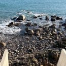 기리기리 풀빌라 이미지