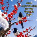 북구 시니어클럽 이미지