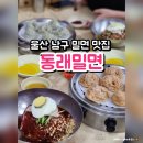 동래밀면 | 남구 삼산동 맛집 울산 동래밀면 후기