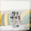 달맛디 이미지