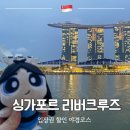 헬릭스디자인(HELIX D) | 싱가포르 리버크루즈 가격 예약 시간 코스 야경 후기