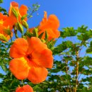 고령낚시 이미지