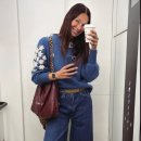 벌룬플라워 이미지