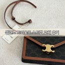 마고 | 셀린느 마고 체인지갑 후기 트리옹프 캔버스 카프스킨 스트랩 교체