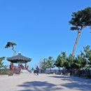 낙산의상대 이미지