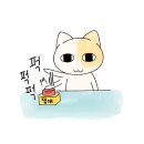 또랑길 | 인천 구월동 혼술바 또랑 여자 둘이 다녀온 썰 내돈내산 솔직후기 추천