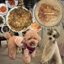 스톤하우스 | 용인 애견동반 계곡 식당 스톤하우스 가든 후기 (프라이빗 텐트 누룽지 백숙)