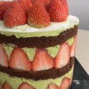 시루향 | 성심당 말차 딸기시루케이크 솔직 후기