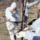 전라북도농업기술원 이미지