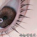 에르모사뷰티