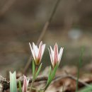 대소마을 이미지