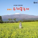 사랑하는 가족 ,친구와 함께 보낼 수 있는 봄맞이 축제