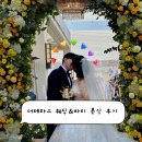 [일산 야외 결혼식장] 더테라스웨딩&amp;파티 본식 후기💍 장단점부터 주차·뷔페·하객 반응까지 총정리