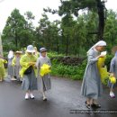 완도농장 이미지