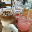 반다99 이미지