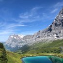 여기분식집이여 이미지