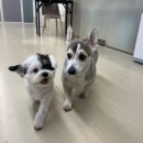 더위크앤리조트(더우프앤) 이미지