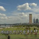 비움스테이