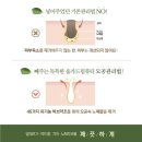 올가드림뷰티 이미지