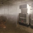 동광축사 이미지