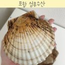 성후수산 이미지
