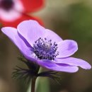 소나타 PC 이미지