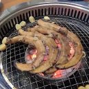 바위섬마차