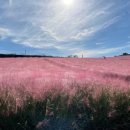 소나무카페(소나무관광농원) 이미지