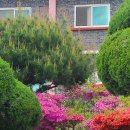 부여장수요양원 이미지