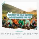 대산마을 옹벽 | 2026 가족사랑 농촌체험 신청 정리｜경쟁률, 일정, 직접 다녀온 후기까지