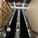 종로-신영-종로-영-202 | 도심 속의 휴식 통창 있는 카페, 피어커피 스타필드애비뉴 그랑서울점｜종각 신규 카페 내돈내산 후기