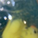 딱따구리문구점 이미지