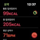 비베터