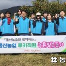 김진근농장 이미지