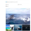 2019 오버하우젠 월드 투어 | 오키나와 3박4일 겨울여행 후기, 항공권 예약부터 버스투어 일정까지