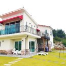 로젤 147 네이버블로그