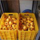 황재농장 이미지