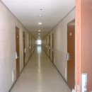 성우스타우스 이미지