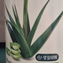 위 관리하려고 구매한 맑은농장 유기농 알로에베라겔 후기