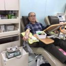 민들레 펜션 이미지