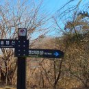 앵산꾀꼬리길 이미지