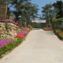 허브캐슬 이미지