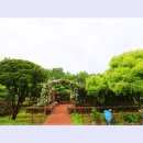 곡성-065 티스토리