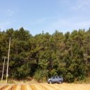 선원면-5 이미지