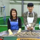 대풍수산 이미지