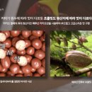 에브리틱