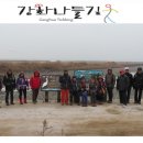 철새보러가는길 이미지
